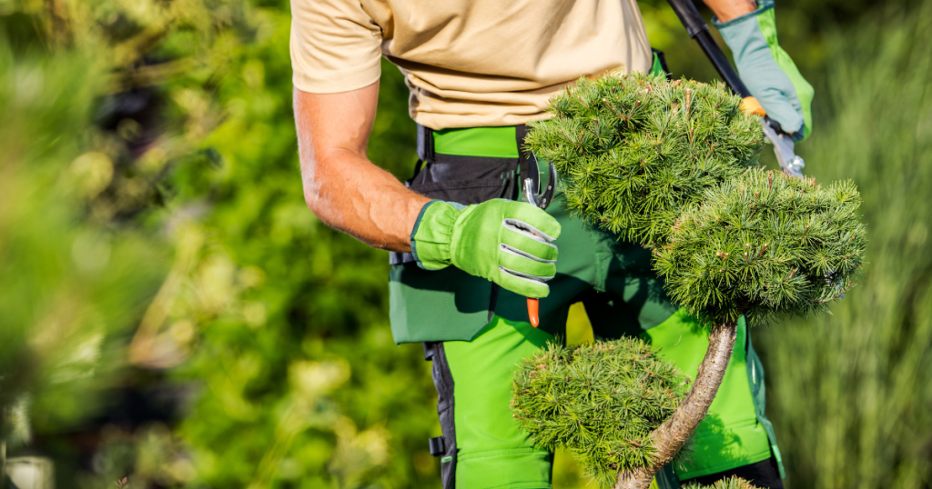 why tree service