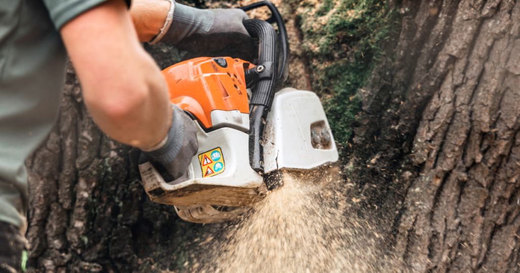 why tree service