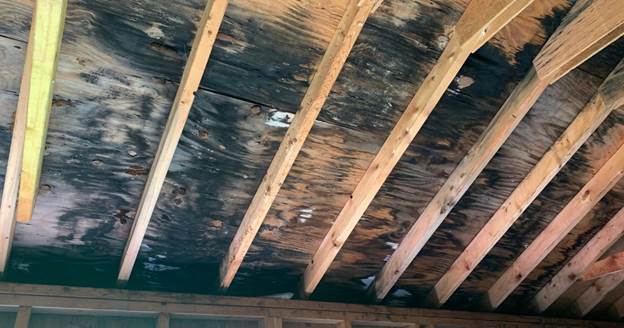 water damage in Tucson