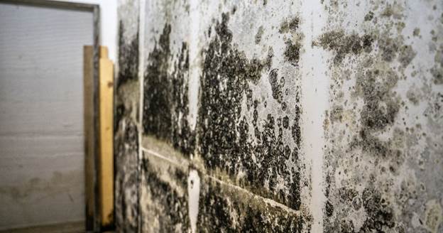 water damage in Tucson